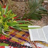 Pflanzen aus den Gärten der Frauen, eine Bislama-Bibel, Girlanden-Halsketten und palmengeflochtene Körbe und Fächer - Copyright: vanuatu_copyright-wgt_vanuatu.jpg 
